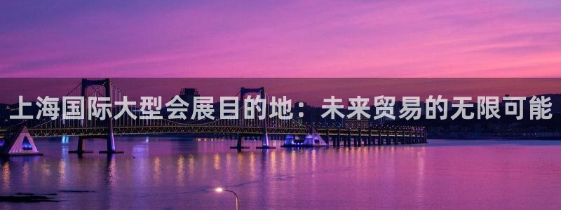 苹果电脑可以下载博易大师吗：上海国际大型