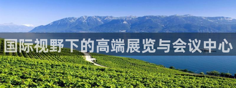 果博公司网站：国际视野下的高端展览与会议