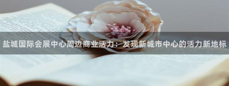 果博公司注册：盐城国际会展中心周边商业活