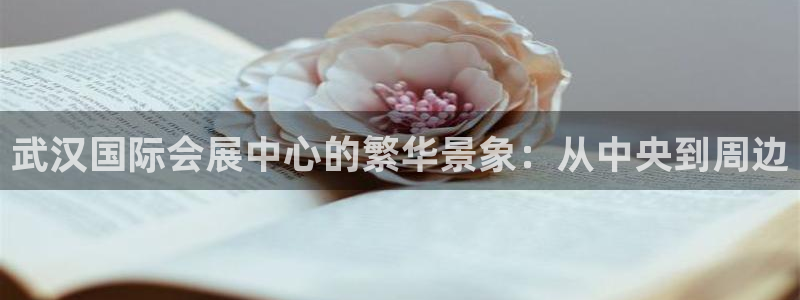 电脑怎么下载果考网：武汉国际会展中心的繁