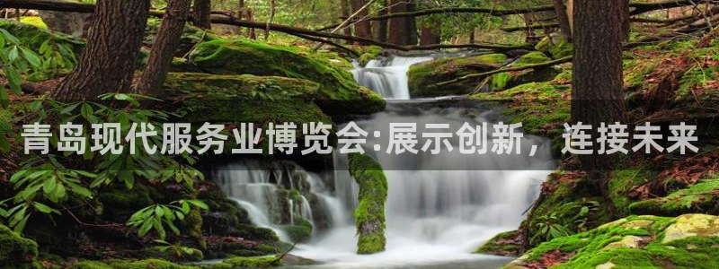 果博注册客服电话：青岛现代服务业博览会:展示创新，连接未来