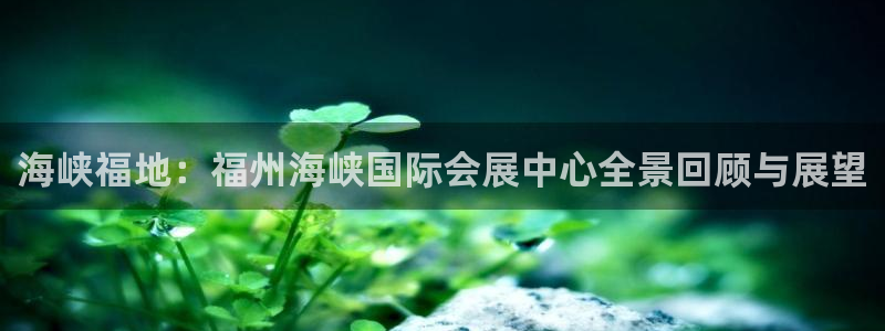 果博真人：海峡福地：福州海峡国际会展中心全景回顾与展望