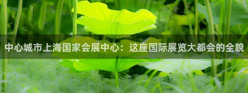 果博平台真实吗安全吗是真的吗：中心城市上海国家会展中心：这座国际展览大都会的全貌