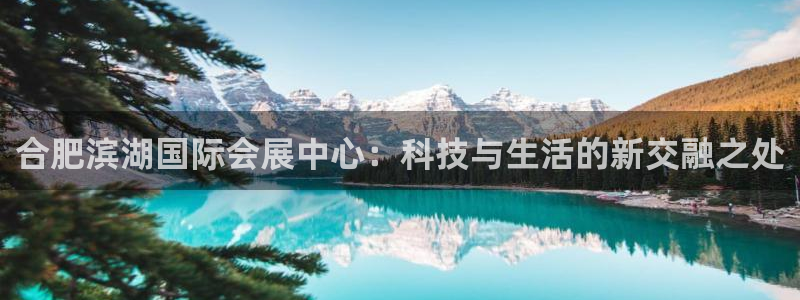 果博公司怎么开户：合肥滨湖国际会展中心：科技与生活的新交融之处