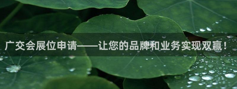 果博公司网站：广交会展位申请——让您的品牌和业务实现双赢！