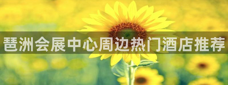 果博注册平台怎么注册的：琶洲会展中心周边热门酒店推荐