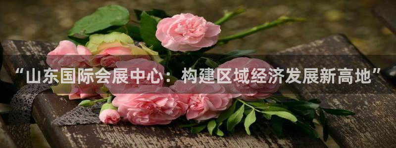 果博公司会员账号开户：“山东国际会展中心：构建区域经济发展新高地”