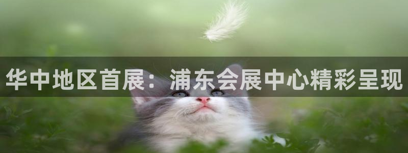 果博官网客服