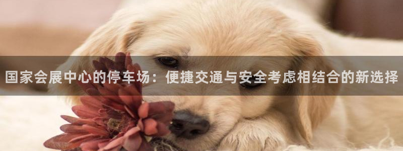果博东官方网站怎么下载：国家会展中心的停