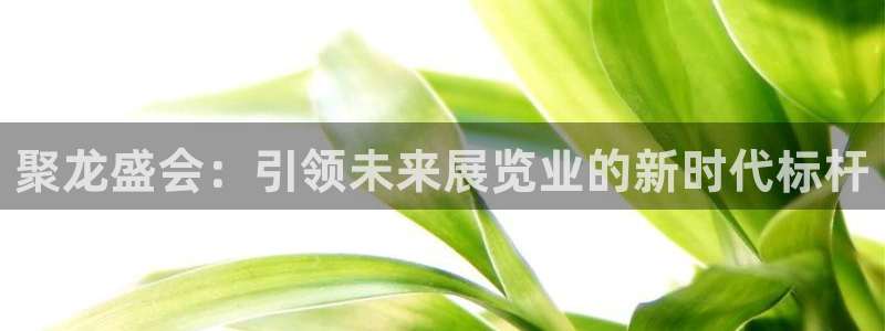 果博注册平台怎么注册的：聚龙盛会：引领未来展览业的新时代标杆