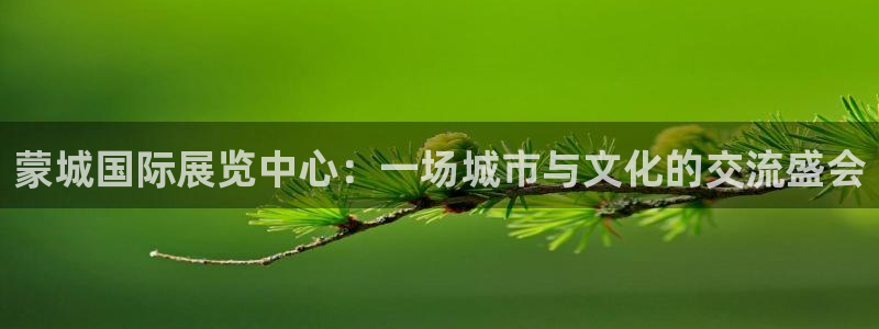 果博公司会员开户：蒙城国际展览中心：一场