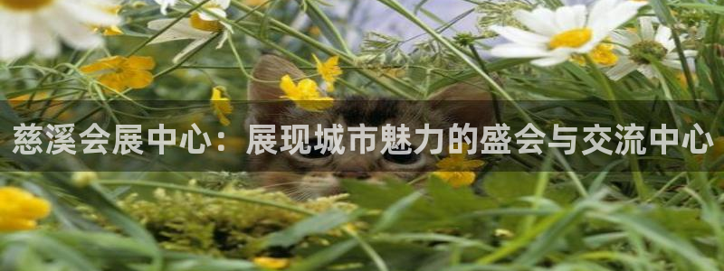 果博注册账号链接：慈溪会展中心：展现城市
