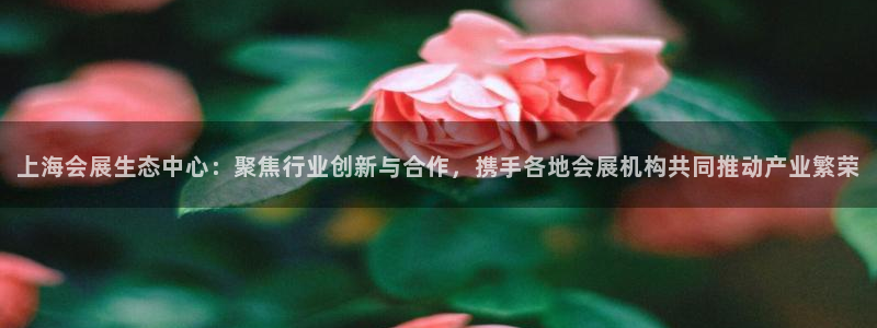 果博官网客服电话号码是多少：上海会展生态