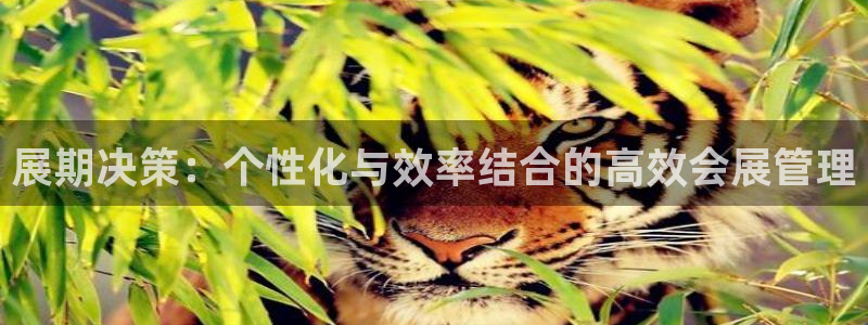 果博上分电话：展期决策：个性化与效率结合