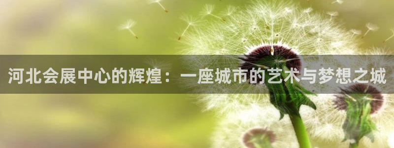 果博平台电话：河北会展中心的辉煌：一座城市的艺术与梦想之城