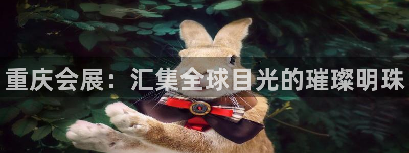 果博公司客服电话号码：重庆会展：汇集全球