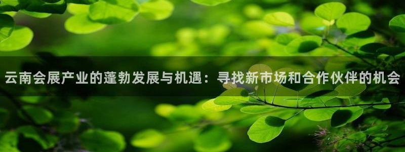 苹果电脑怎么下载博弈大师等软件：云南会展
