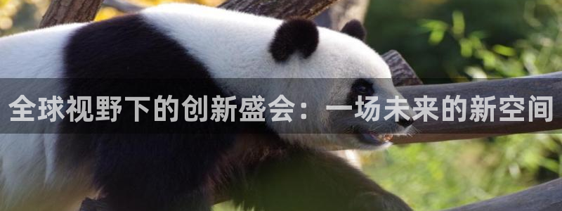 果博公司客服：全球视野下的创新盛会：一场未来的新空间