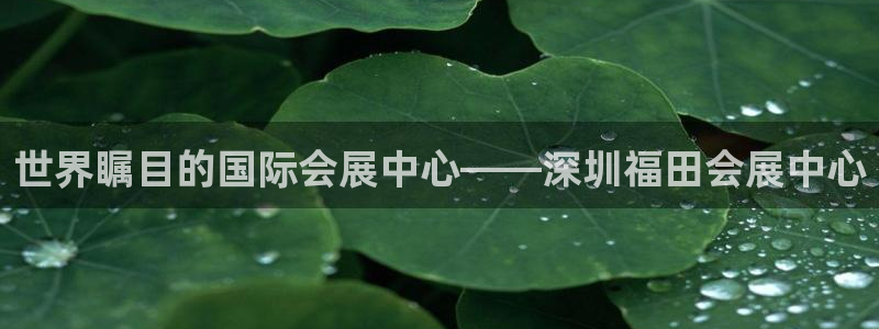 果博账号注册要钱吗：世界瞩目的国际会展中心——深圳