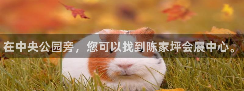 果博账号注册要钱吗：在中央公园旁，您可以