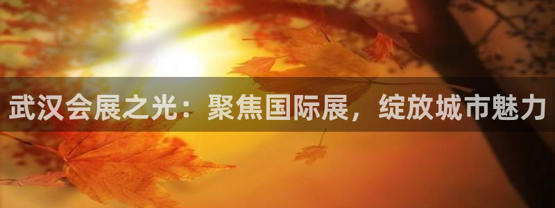果博真人