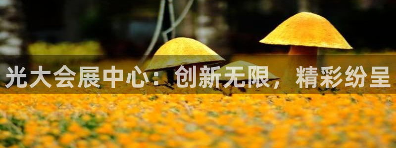 下载果博app：光大会展中心：创新无限，
