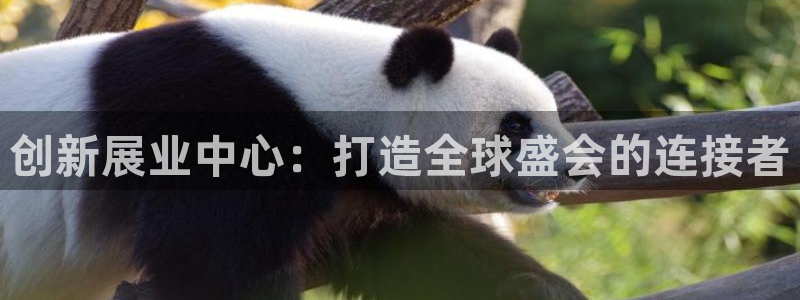 果博有假吗：创新展业中心：打造全球盛会的