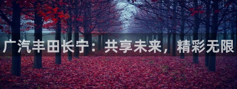 果博注册会员：广汽丰田长宁：共享未来，精