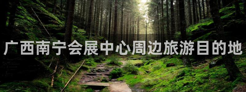 果博公司开户注册：广西南宁会展中心周边旅游目的地