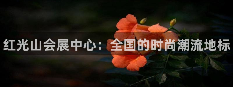 果博公司客服怎么样：红光山会展中心：全国