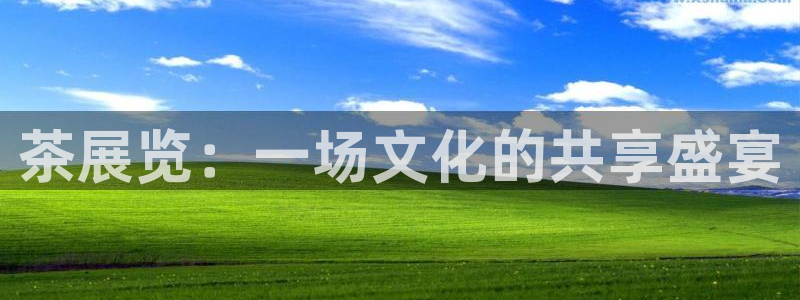 果博平台开户电话号码：茶展览：一场文化的共享盛宴
