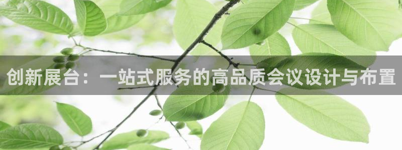 果博注册平台怎么注册账号：创新展台：一站式服务的高品质会议设计与布置