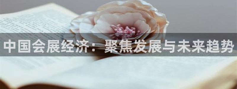 果博公司：中国会展经济：聚焦发展与未来趋势