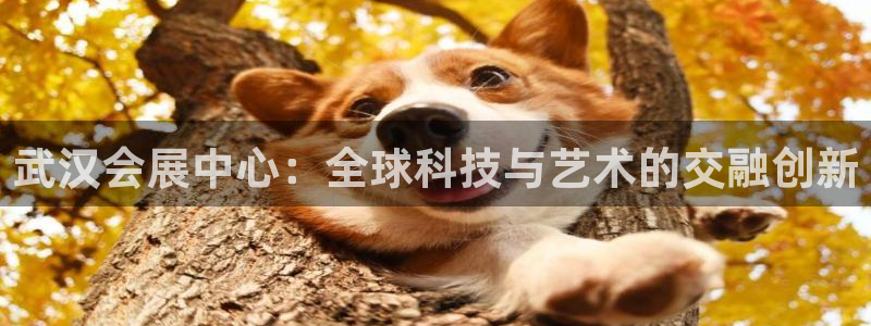 果博平台怎么下载?：武汉会展中心：全球科技与艺术的交融创新