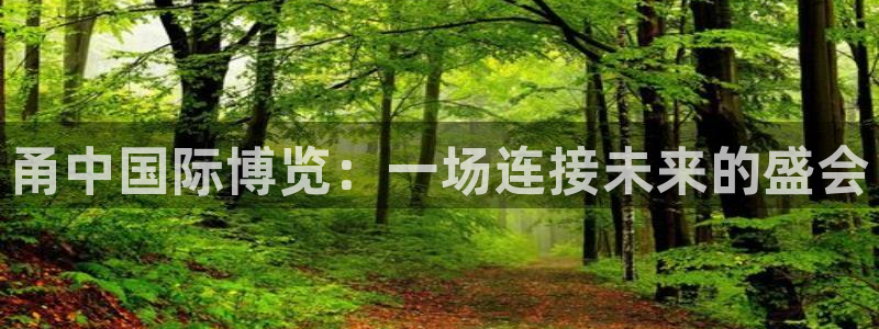 果博注册客服电话是多少号码：甬中国际博览：一场连接未来的盛会