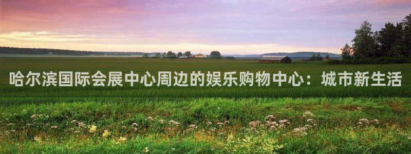 果博注册链接：哈尔滨国际会展中心周边的娱