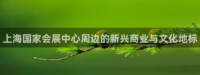 果博官网客服：上海国家会展中心周边的新兴商业与文化地标