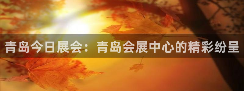 果博公司开户注册：青岛今日展会：青岛会展中心的精彩纷呈