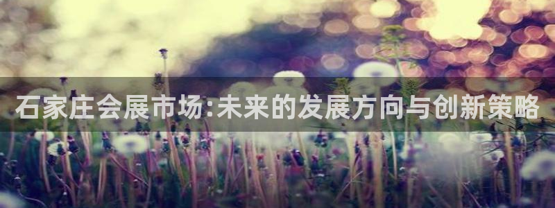果博平台开户电话：石家庄会展市场:未来的