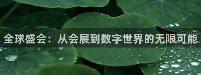 果博园简介：全球盛会：从会展到数字世界的无限可能