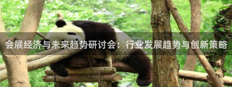 果博账号注册：会展经济与未来趋势研讨会：行业发展趋势与创新策略