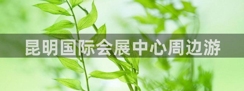 果博注册会员怎么注销：昆明国际会展中心周