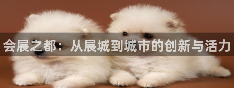 果博上分电话：会展之都：从展城到城市的创新与活力