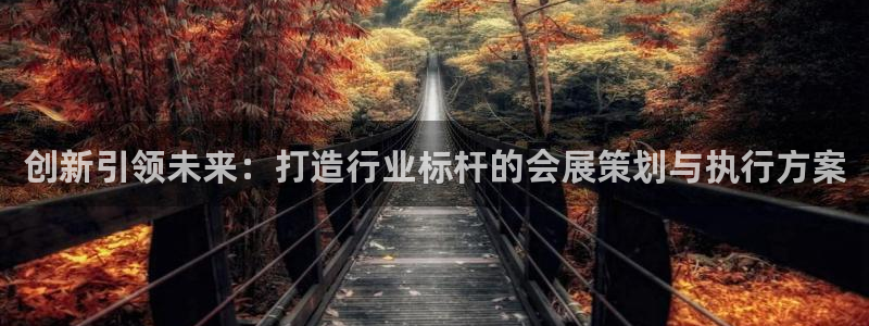 果博是怎么登录的：创新引领未来：打造行业标杆的会展策划与执行方案