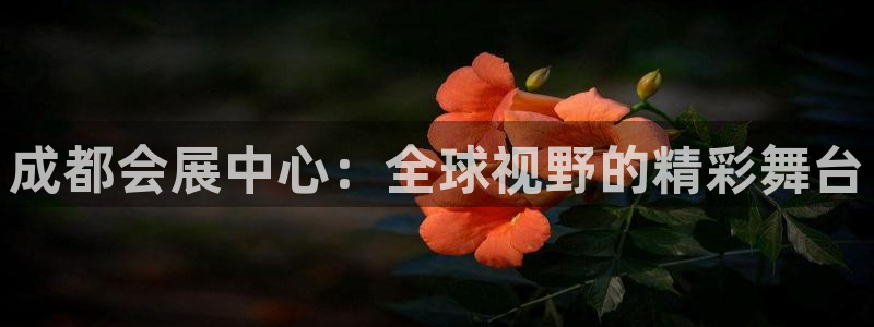 果博管理网：成都会展中心：全球视野的精彩舞台