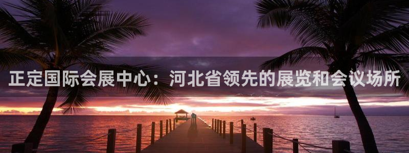 果博注册会员多少钱：正定国际会展中心：河