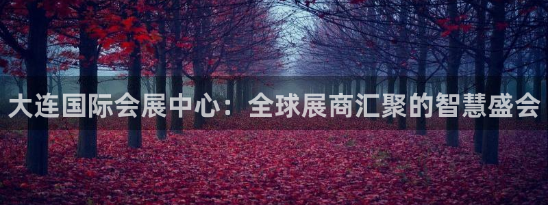 果博平台真实吗安全吗可信吗可靠吗：大连国际会展中心：全球展商汇聚的智慧盛会
