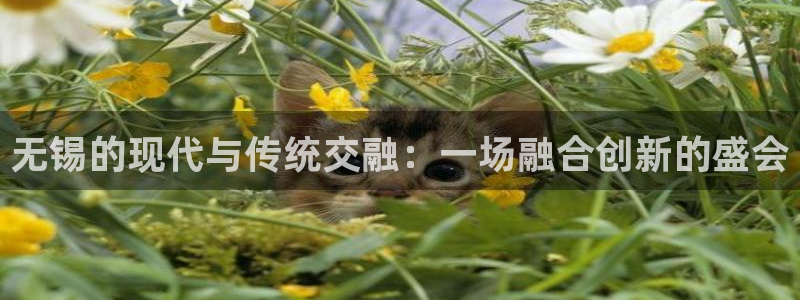 果博服务电话：无锡的现代与传统交融：一场融合创新的盛会