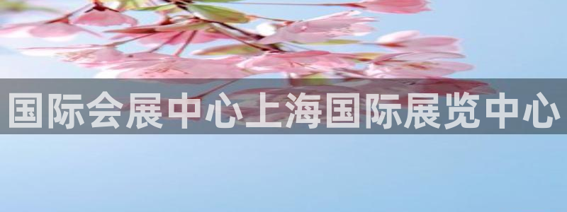 苹果电脑怎么下载博弈大师等软件：国际会展