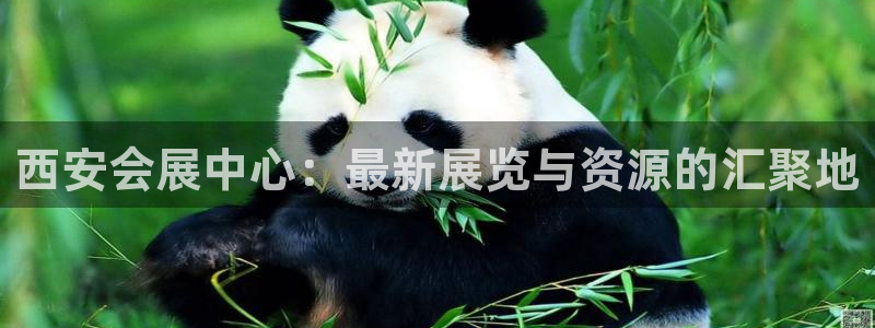 果博注册客服电话是多少号码：西安会展中心：最新展览与资源的汇聚地